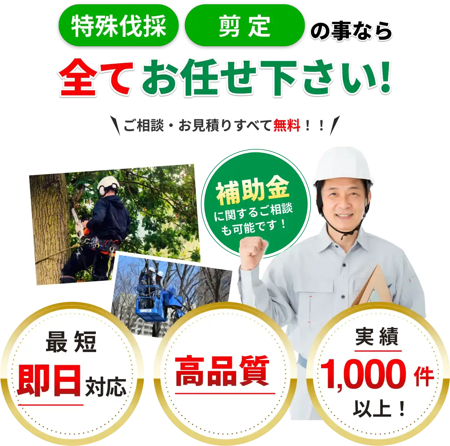 特殊伐採・選定の事なら全てお任せ下さい！ご相談・お見積りすべて無料！！補助金に関するご相談も可能です！最短即日対応・高品質・実績1,000件以上！